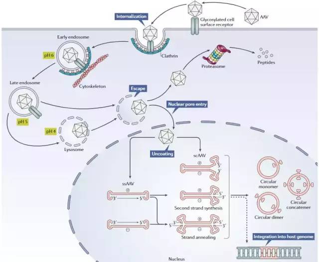 1568946106904880.jpg 微信圖片_20190918100751.jpg
